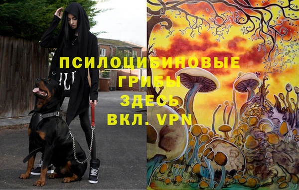 наркотики Киреевск