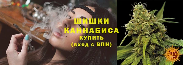 гашик Карталы