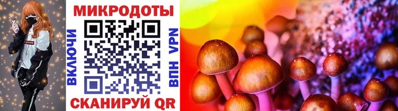 Псилоцибиновые грибы мицелий  Комсомольск 